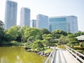 Beautiful Hama Rikyu Garden, Tokyo, Japan